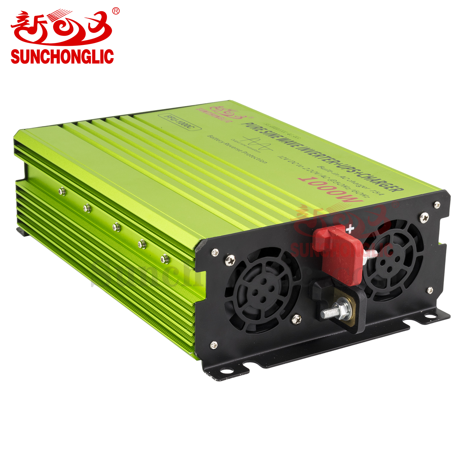 Pure Sine Wave Inverter - FFU-1000C