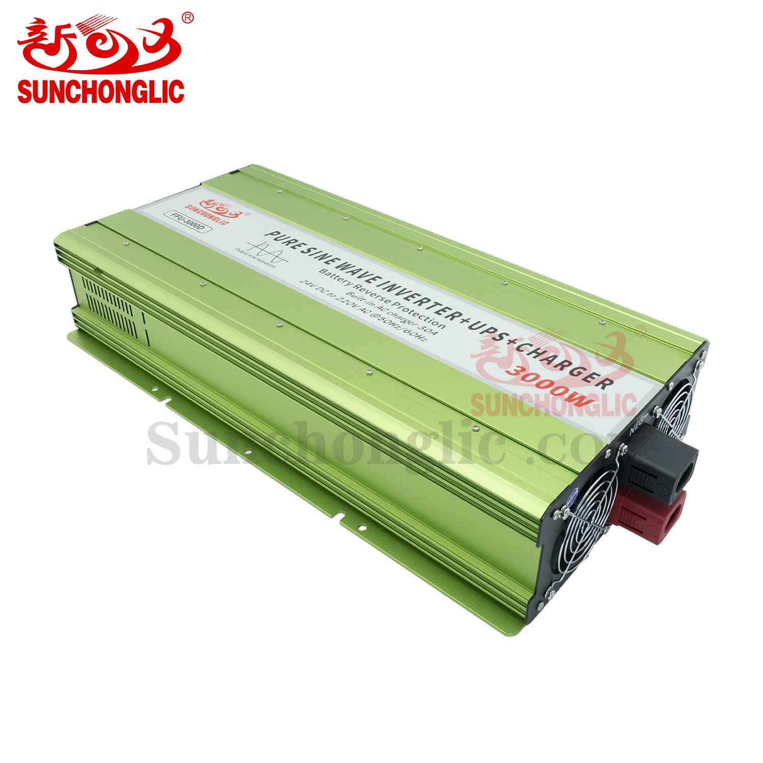 Pure Sine Wave Inverter - FFU-3000D